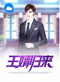 王婿归来 王婿归来