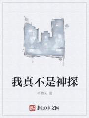 我真不是神探 我真不是神探