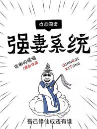 强妻系统 强妻系统